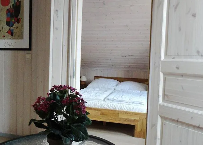 Wildgans 114 * Mirow